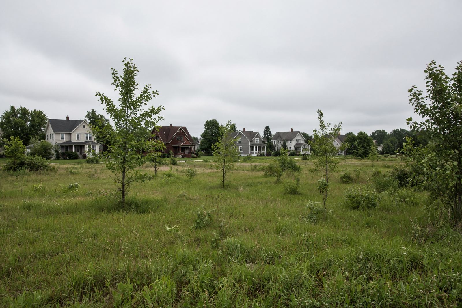 A grassy vacant lot at the edge of a neighborhood